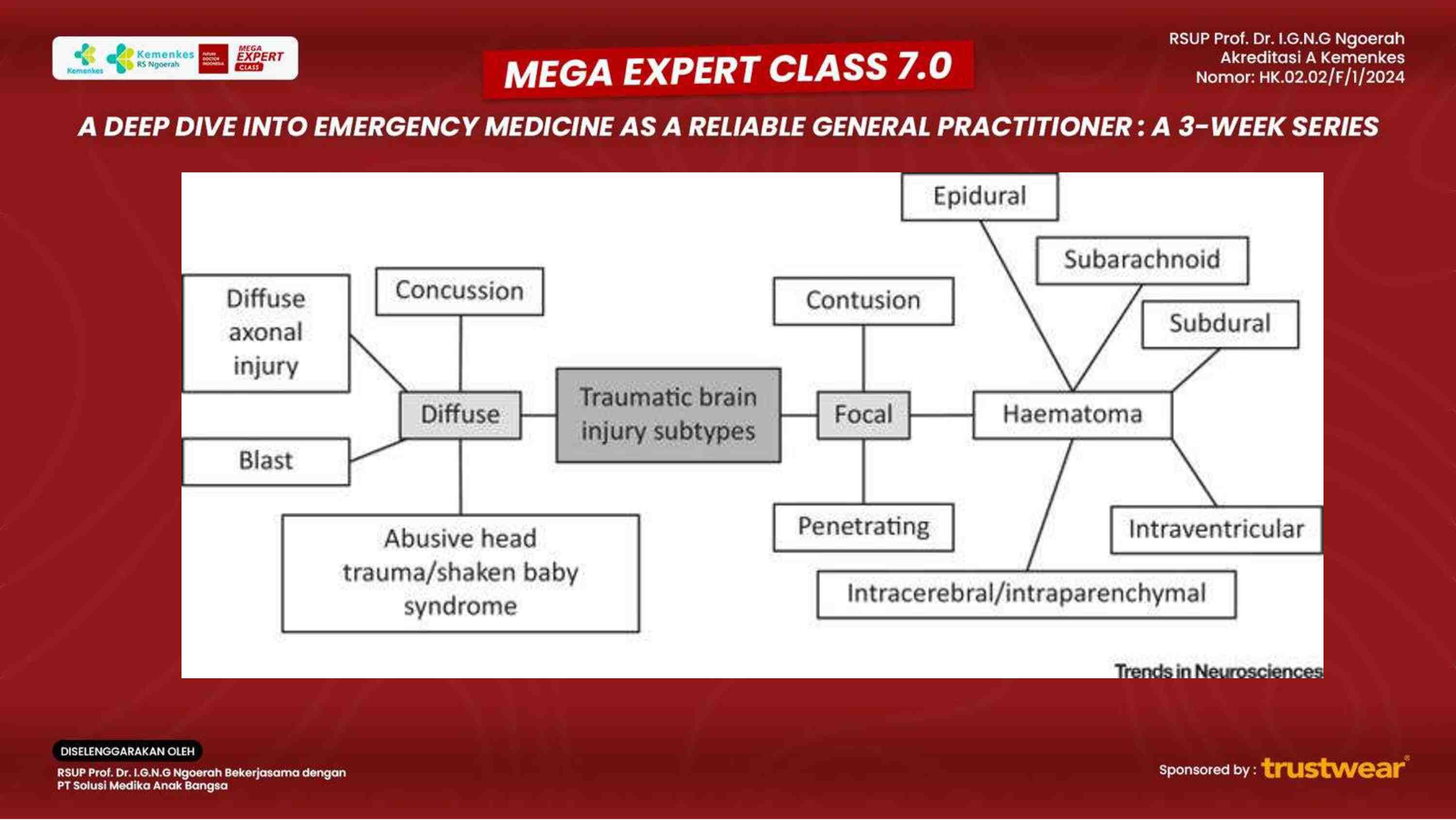 [week-1]-head-injury-essentials-identifying-severity-and-providing-optimal-care-352